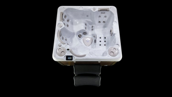 Гидромассажный спа бассейн Hydropool Self-Cleaning 495 Platinum